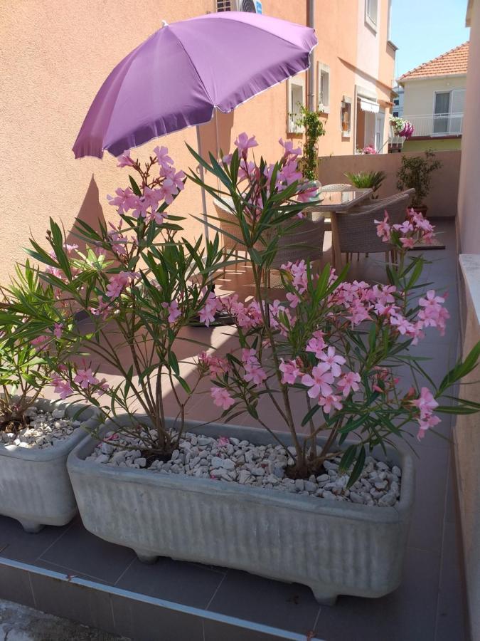 Apartment Yelena Rose West Zadar Extérieur photo